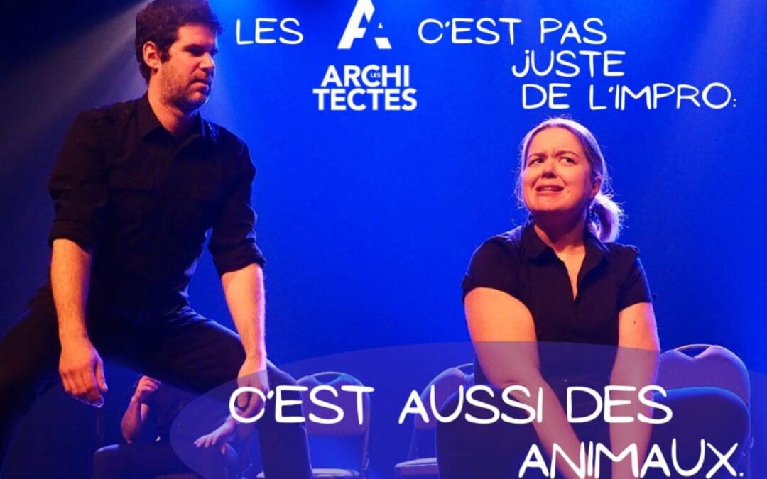 Les Architectes Impro à votre service