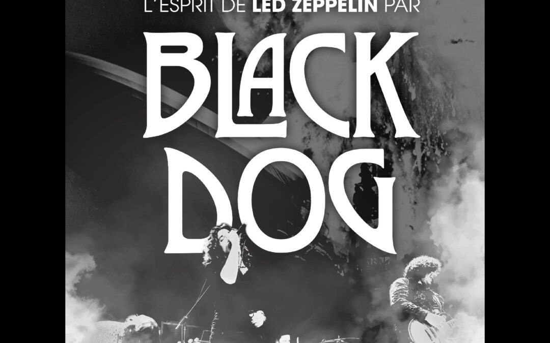 Black Dog Hommage à Led Zeppelin